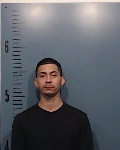 Castillo, Meshach booking photo