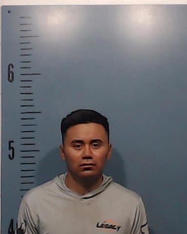 Enrriquez - Garcia, Willans booking photo