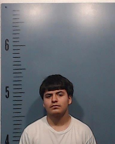 Armenta, Damion Jesse booking photo
