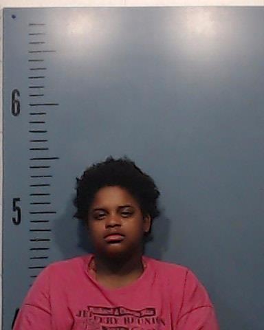 Johnson, Randi Brenae booking photo