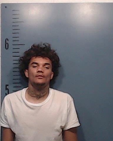 Hjortshoej, Zekee Titus booking photo