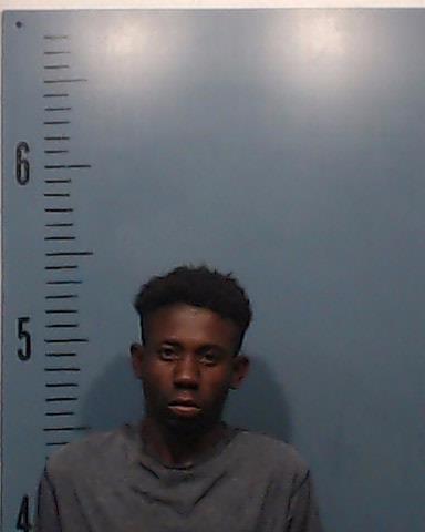 Delce, Demarias Treshad booking photo