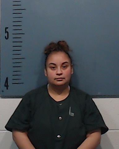 Trevino, Jennifer booking photo