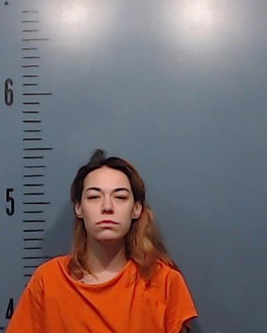 Vitek, Haleigh Brianne booking photo