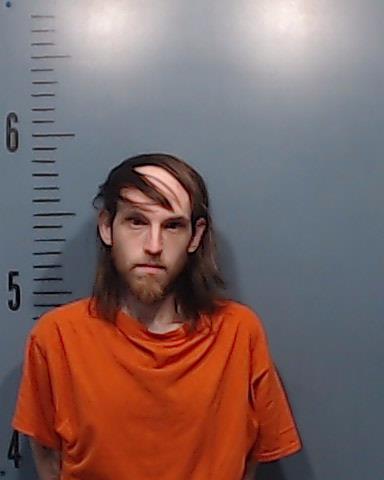 Land, Taylor Ray booking photo