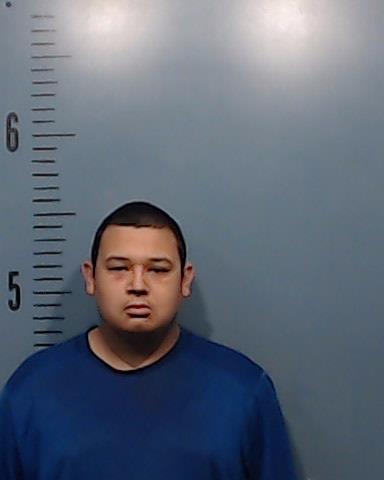 Ledesma, Fabian Xzavier booking photo