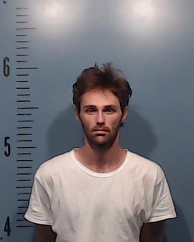 Brewer, Blake Allen booking photo