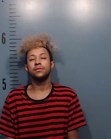 Jackson, Devon Tanaka booking photo