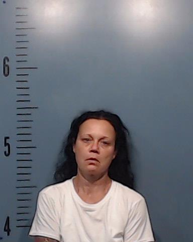 Vinson, Shannon LaJoy booking photo