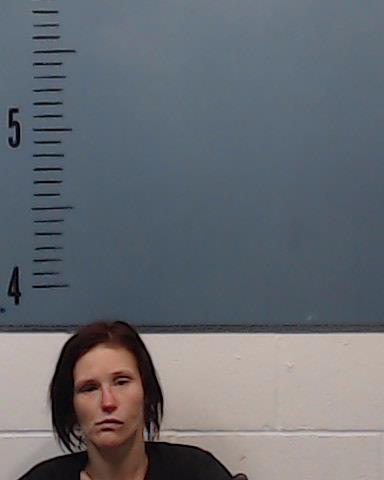 Wahlquist, Kimberly Yvonne booking photo