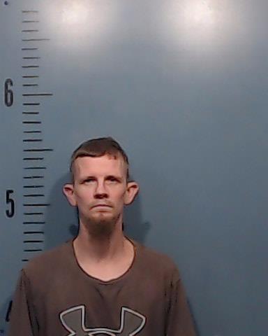 Tyler, Chris Aaron booking photo