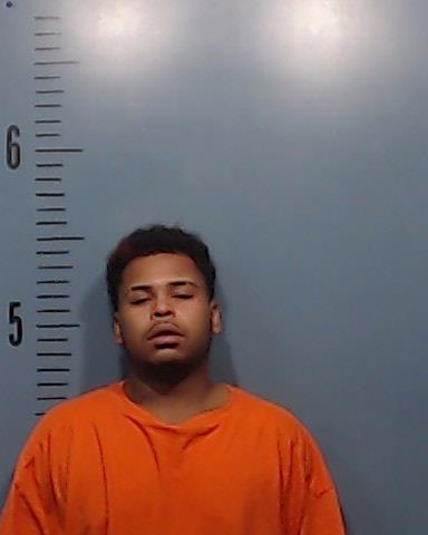 Lyons, Congetta Snow, Jr. booking photo