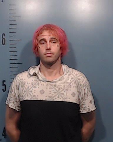 Hyland, Devlin Barrett booking photo