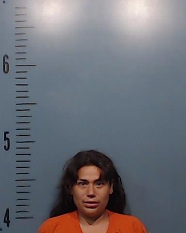 Gonzales, Sylvia Veronica A booking photo