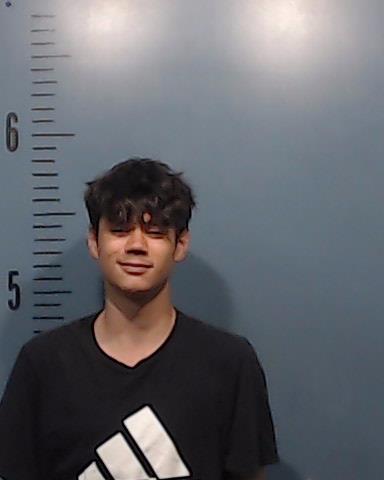 Thompson, Danny Brazos booking photo