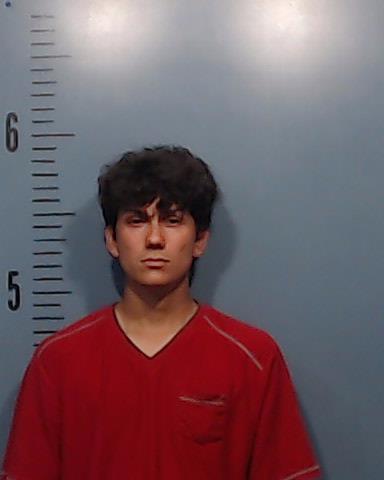 Verbonitz, Jonas Cade booking photo