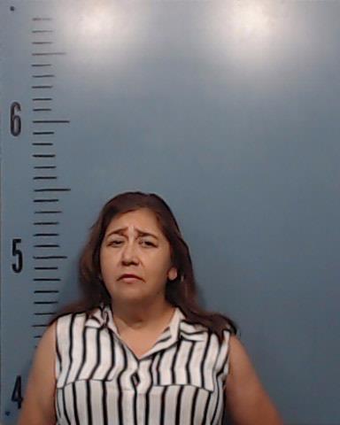Ramirez, Elida Mendez booking photo