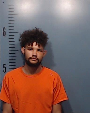 Houston, Davontea Amon booking photo