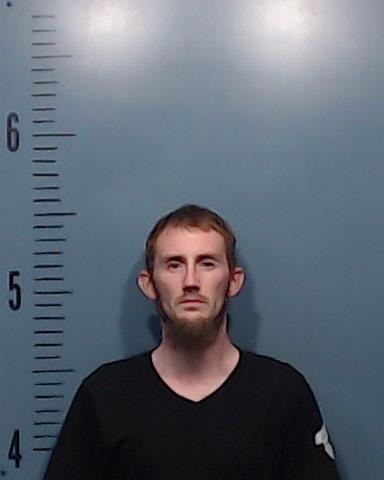 Wise, Joshua Keenan booking photo