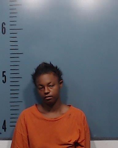 Scott, Tijana Shabree booking photo