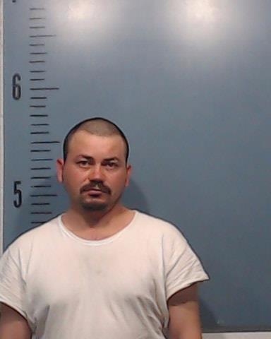 Ruiz-Hernandez, Luis Alonso booking photo