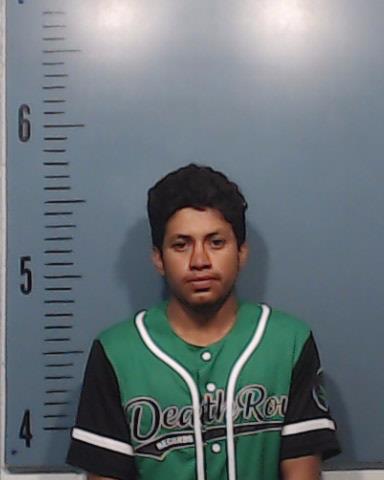 Jaquez-Camarena, Luis booking photo