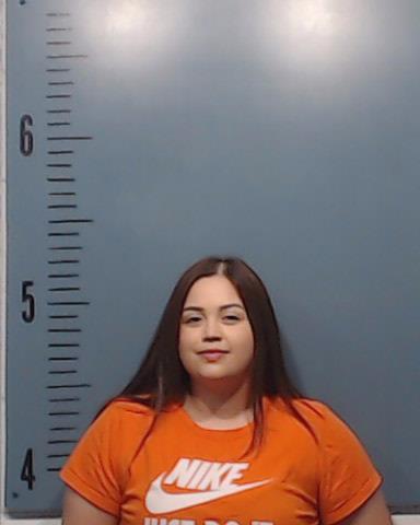 Mirelez, Ariana Deanna booking photo