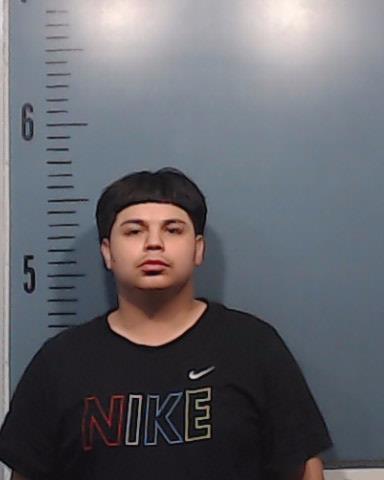Torres De Leon, Xavier Tomas booking photo