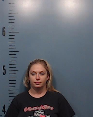 Hollis, Lori Danielle booking photo