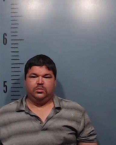 Pulido, Luis Enrique booking photo