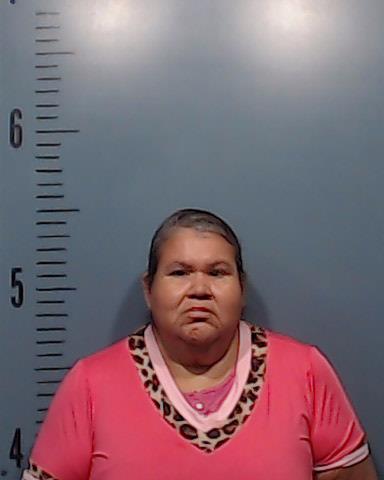 Fernandez, Lydia Ann booking photo