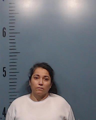 Mendoza, Diana Alicia booking photo