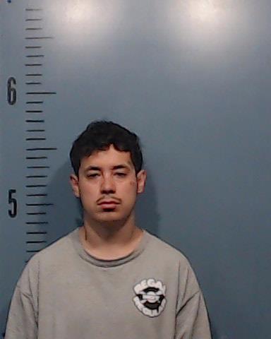 Gallegos, David Huerta booking photo