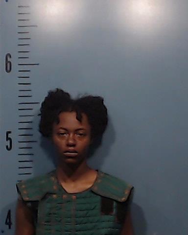 Sanders, Lawrencia Lequitta booking photo