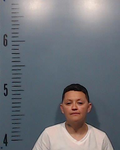 Adame, Linda Chrstine arrested by Taylor County SO/PD
