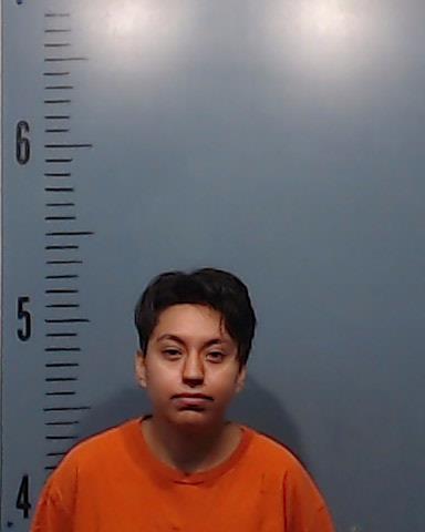 LOMELI, BRENDA MICHELLE booking photo