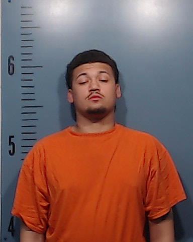 Krauss, Camden Alexander booking photo