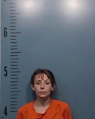 Sarlo, Andrea Lynn booking photo