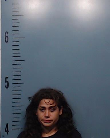 Gonzales, Sylvia Veronica A booking photo