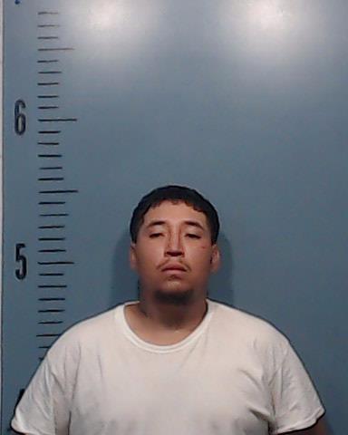 Castillo, Jesse Lee booking photo