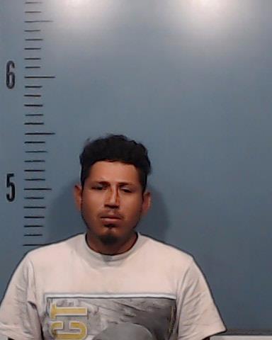 Sanchez-Perez, Rosibel booking photo