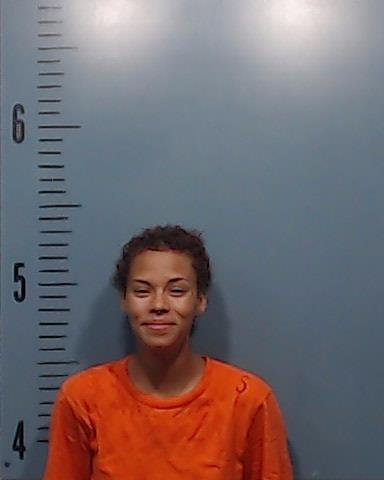 Fletcher, Bobbie Lynnette booking photo