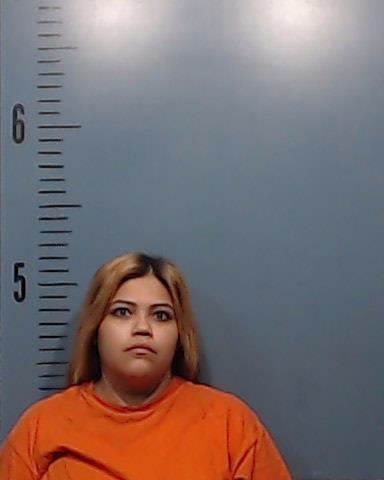 Gomez, Katherine Nicole booking photo