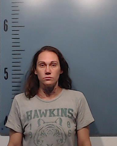 Haynes, Ashlie Diane booking photo