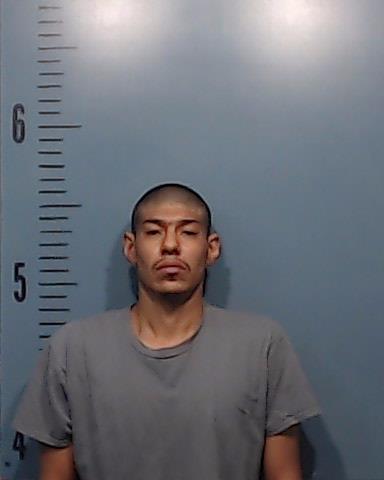 Alsides, Cruz Manuel Antonio booking photo