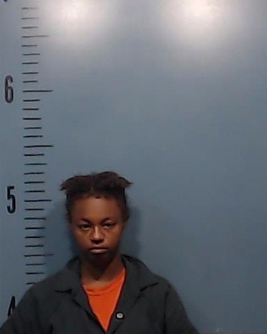 Scott, Tijana Shabree booking photo