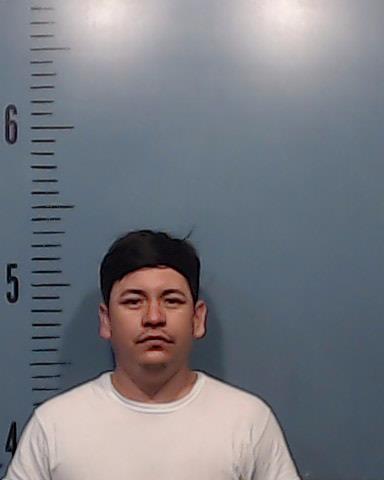 Carillo Tellez, Carlos booking photo