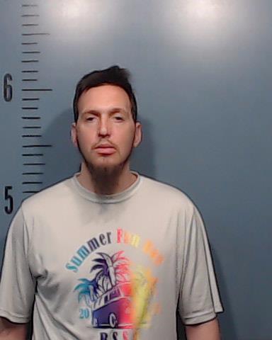 Renaker, David Laure booking photo