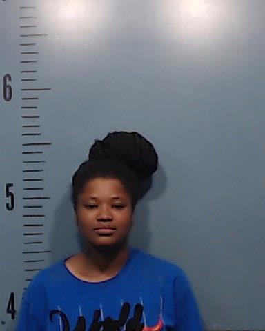 Beaver, Iyone Ziayree Alashanik booking photo