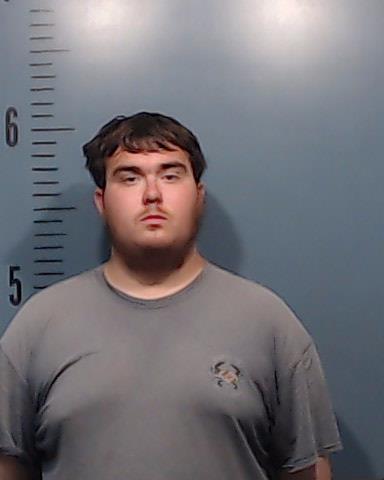 Lewis Jr, Jesse Ray booking photo